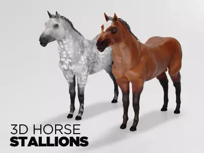 Male stallion horses 3D model