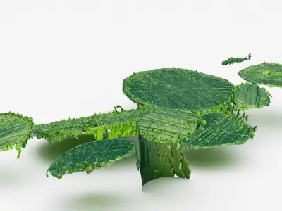  Firewood log tops 3d scan 3D model