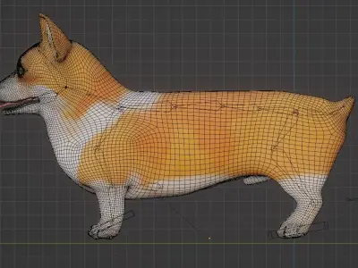 Corgi Dog 3D model