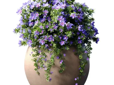 Flowerbeds Petunia flowers in classic garden pots 3D model