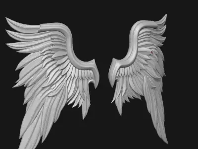 Wings 3D print model