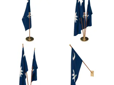 South Carolina Flag Pack 3D model