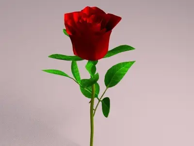 Realistic Rose 3D model