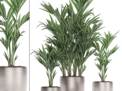 Decorative palm in a flowerpot 696 3D model