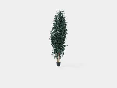 Potted Plant Low-poly 3D model