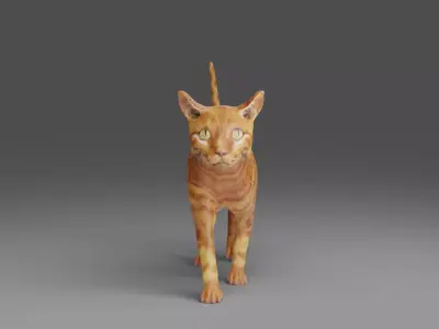 Cat Yellow V3 NO Rigged  Low-poly 3D model