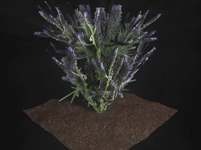 Valars Plant Pack 3D model