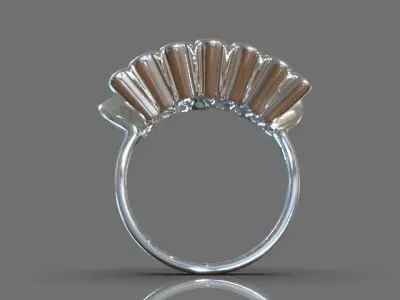 Folded ring 3D print model