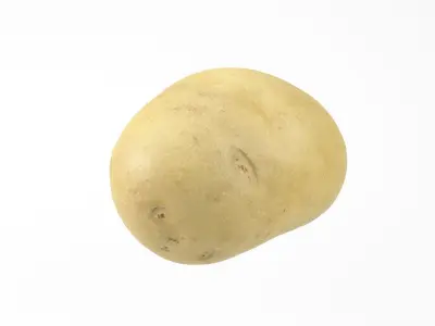 Photorealistic Potato 3D Scan 3D model