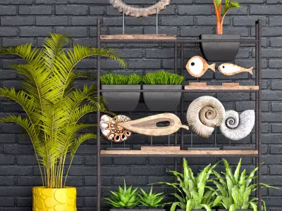 Decorative set plants on shelf 3D model