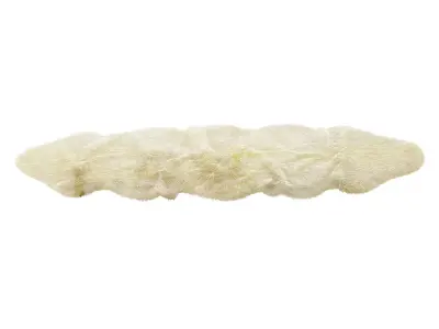 Sheepskin Ivory Area Rug 3D model