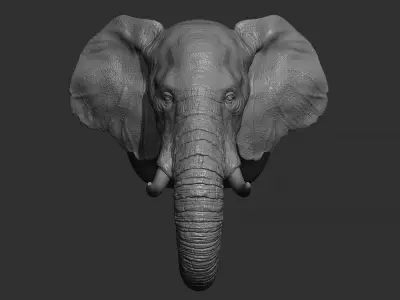 Elephant head 3D print model purchase