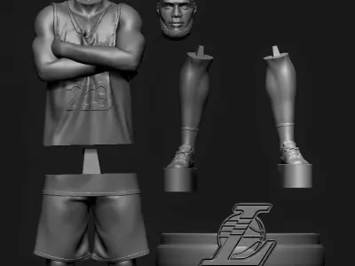LeBron James 3D Printable 4S 3D print model