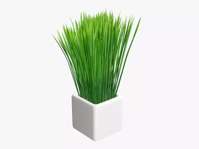 Long grass potted decorative   3D model