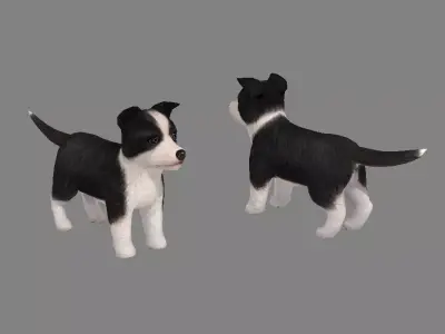 Cartoon pet puppy - Bianmu - baby dog Low-poly 3D model
