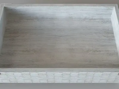 Curiosities Tray Large Silver 3D model