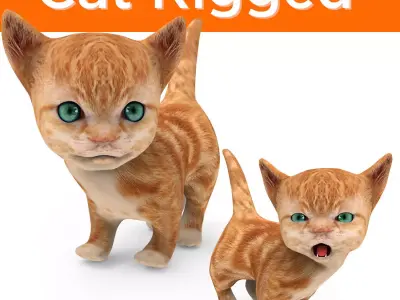 Red Cute cartoon Cat Rigged Low-poly 3D model