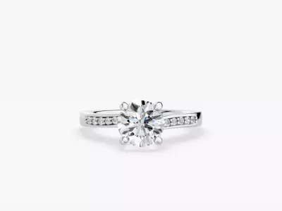 ZABS0018 RD engagement 3D print model