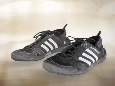 A pair of used Adidas Terrex 007 Low-poly 3D model