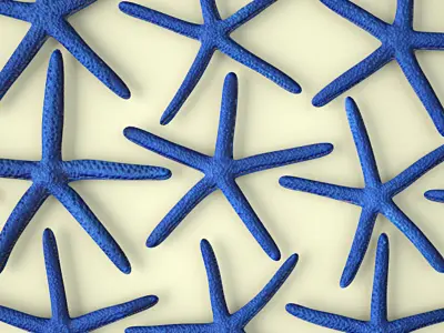 25 Starfishes 3D model