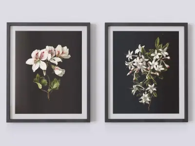 Vintage Botanical Collection 1 Low-poly 3D model