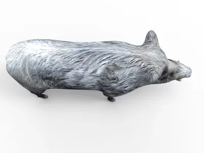 3D Wild Boar 3D Model Low-poly 3D model