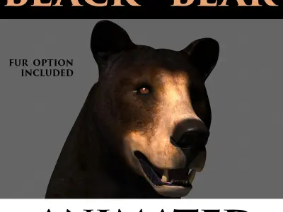 3D animated Wild Bear Pack 3D model