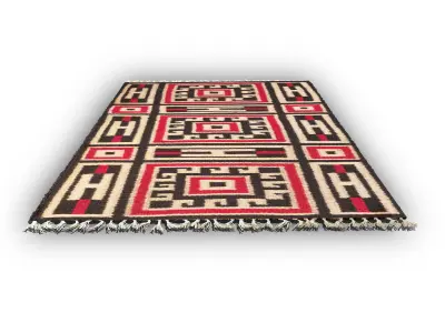 Nokshi Katha Carpet 3D model