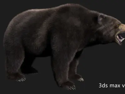 bear grizzly brown bear black bear Low-poly 3D model