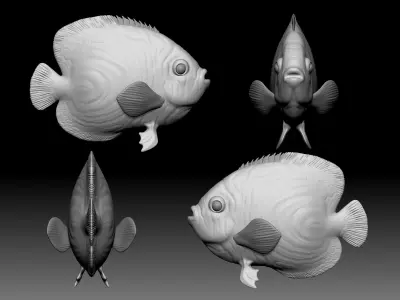 Sea fish 3D print model