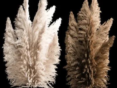 Bouquet Of Dry Reeds In A Black Metal Pot 272 3D model