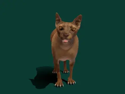 Fossa Animal 3D model