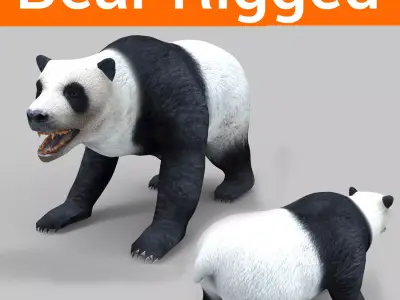 White Rigged 3D Models low poly model Low-poly 3D model