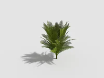 low poly tropical tree Low-poly 3D model