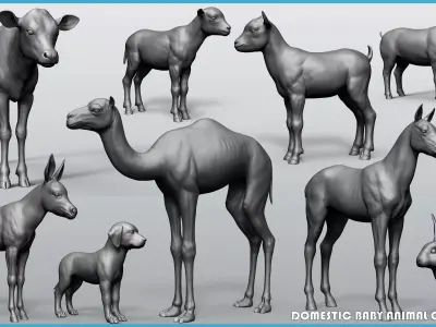 Domestic Baby animal collection 3D model