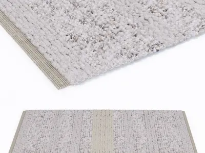 MiiiM Woven Rug 1 3D model