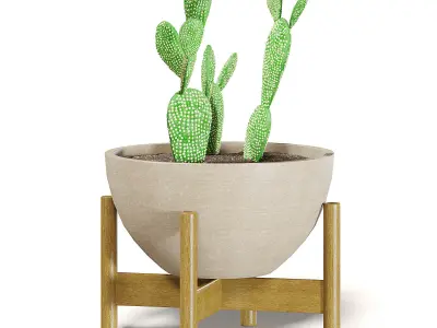 Cactus 3D Model in Brown Pot 3D model