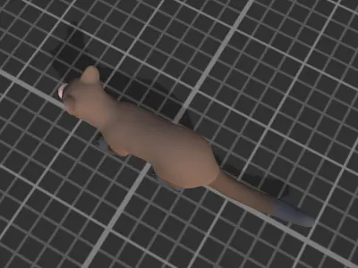 Cartoon Marten Low-poly 3D model