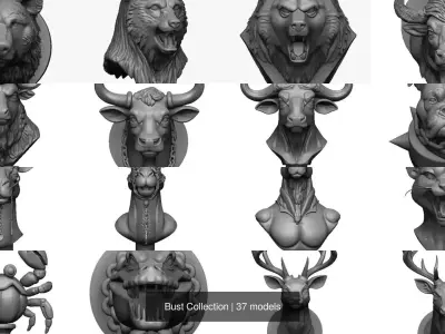 Bust Collection