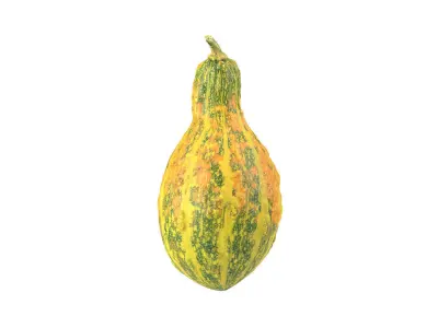 Photorealistic Decorative Gourd 3D Scan 3D model