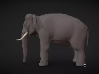 Asian Elephant male Base Mesh Low-poly 3D model
