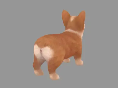 Cartoon pet puppy - Corgi - baby dog Low-poly 3D model