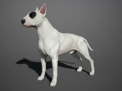 Bull Terrier Real-Time Low-poly 3D model