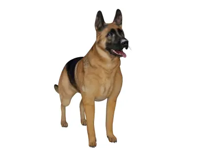 King Shepherd Dog Low-poly 3D model