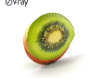 Kiwi Fruit Slice Realistic Model Pack Low-poly 3D model