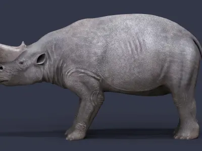 Arsinoitherium zitteli 3D model