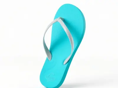 Flip Flop Model Pack  Realistic Textured Beach Sandal Low-poly 3D model