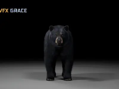American BlackBear  UE Character Asset 3D model