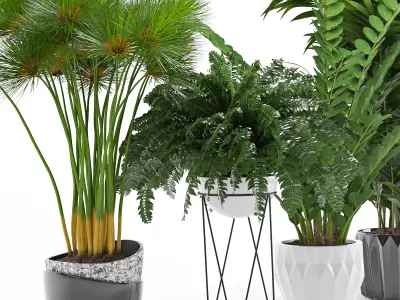 Houseplant 27 3D model