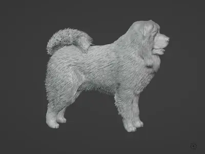 Caucasian Shepherd Dog 3D model